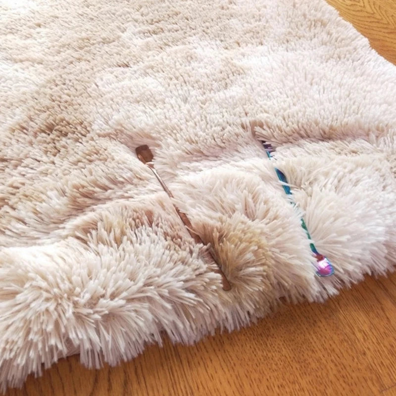Tie-dye Gradient Carpet